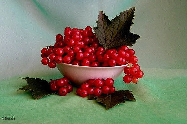 Ольга Глушенкова | Омск