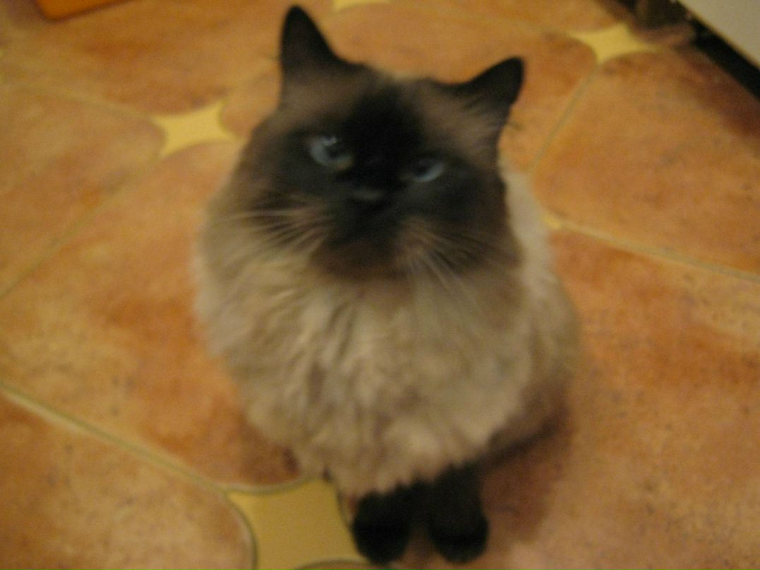 Валентин Рубин Rubinovi4 | Днепр (Днепропетровск)