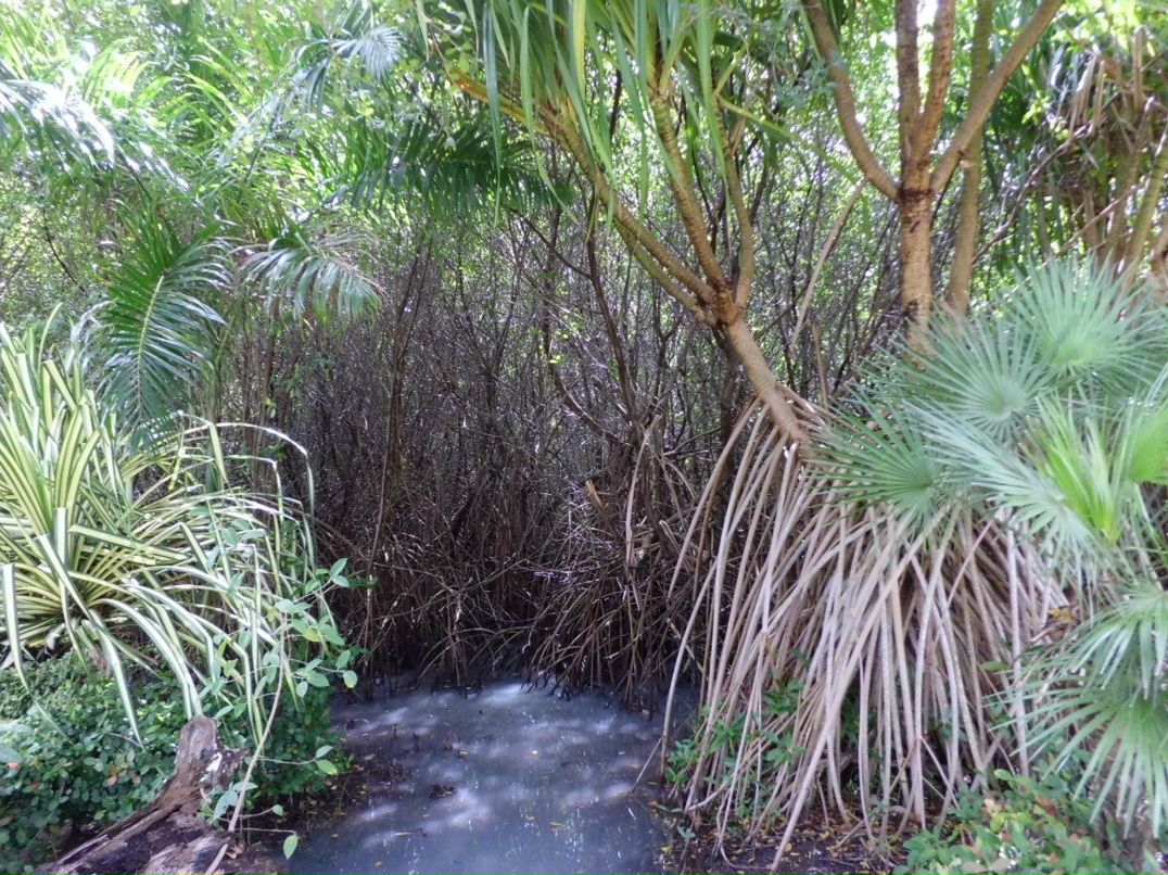 Алексндр Иванов | Москва