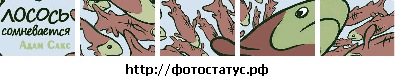 №78, Димка Лозовой №78, Димка Лозовой