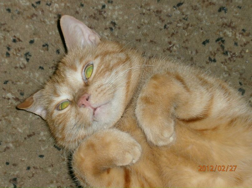 Юлиана Бадошкина | Тверь