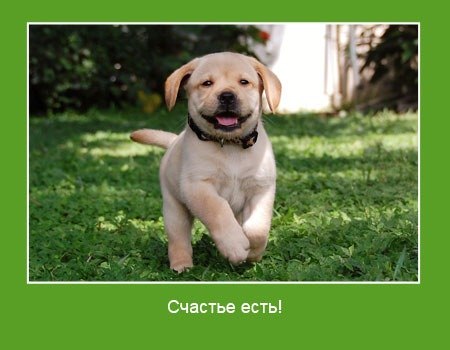 №14, Анна Симанович-Лисниченко, Днепр (Днепропетровск) №14, Анна Симанович-Лисниченко, Днепр (Днепропетровск)