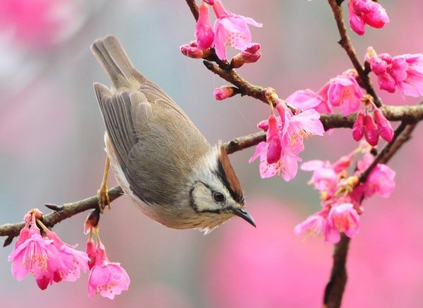 Светлана Малиновська | Полтава