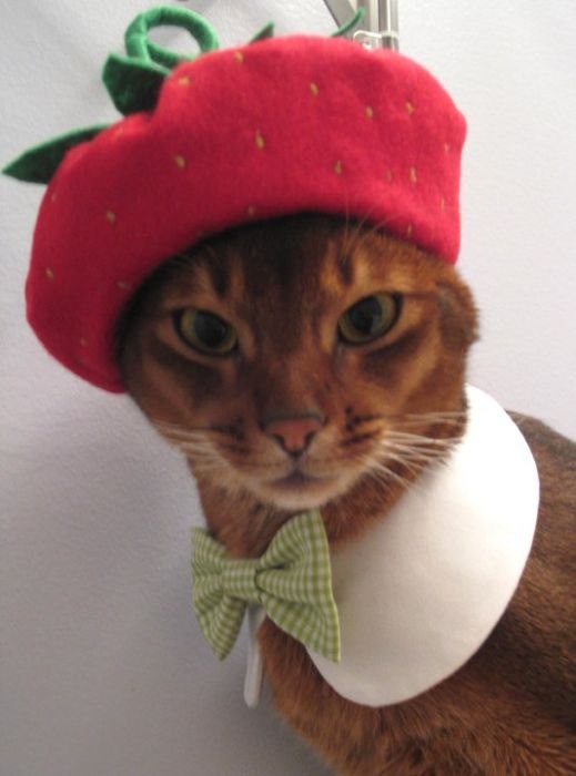 Даша Баловнева | Ставрополь