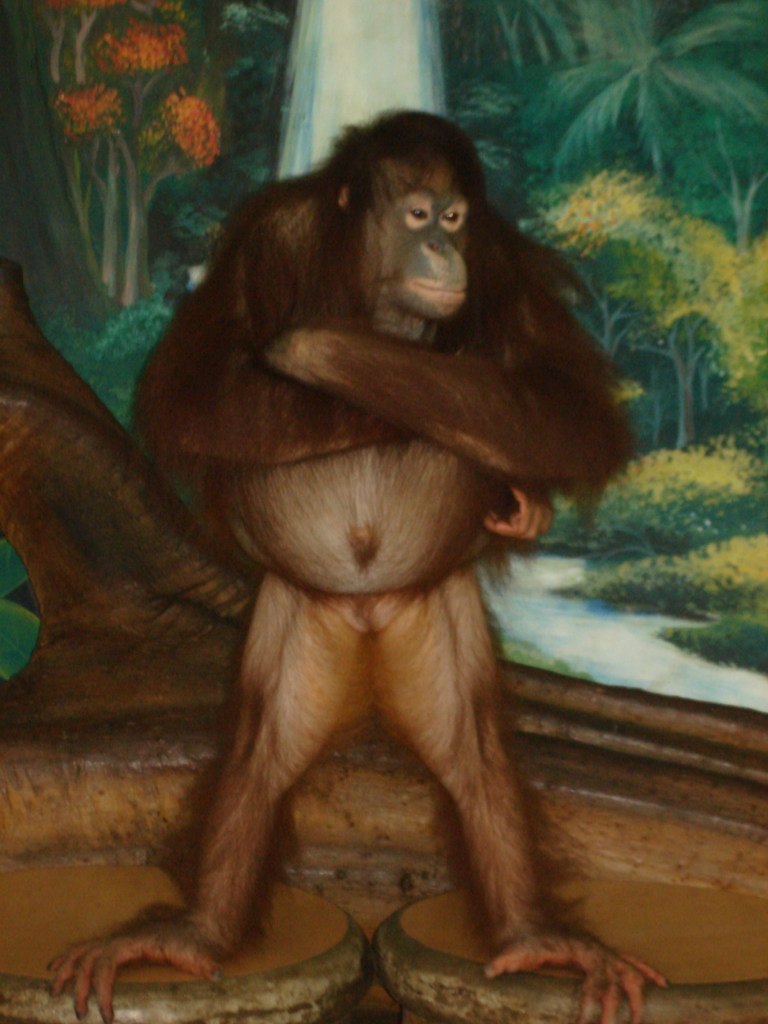 Анна Борисова | Москва