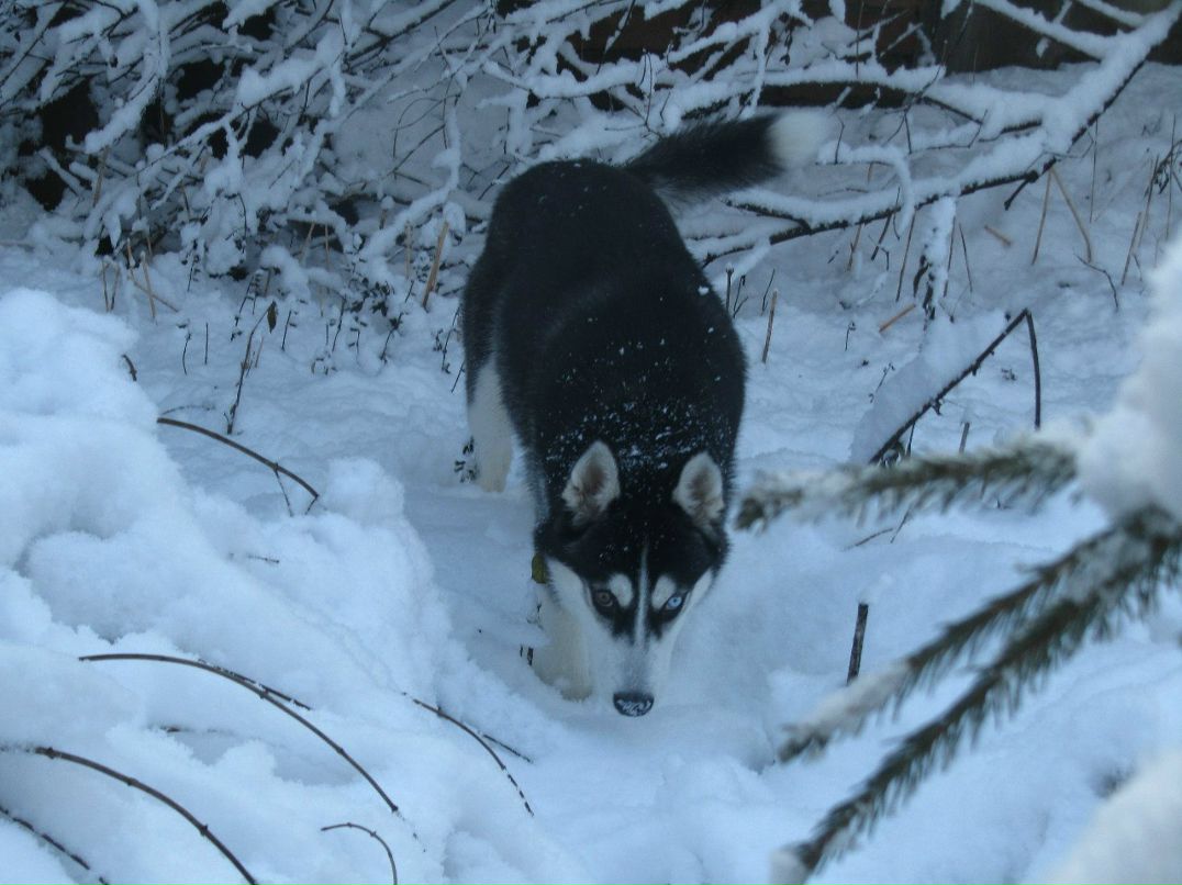 Наташа Базина | Ростов-на-Дону