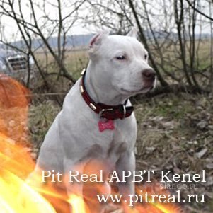 Александр Мыкытюк | Первомайск