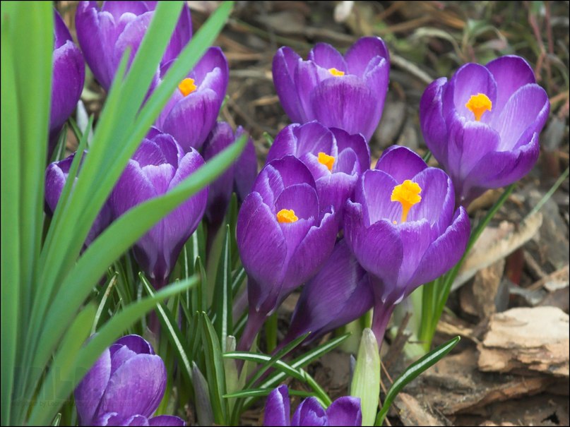 Таня Обухова | Одесса