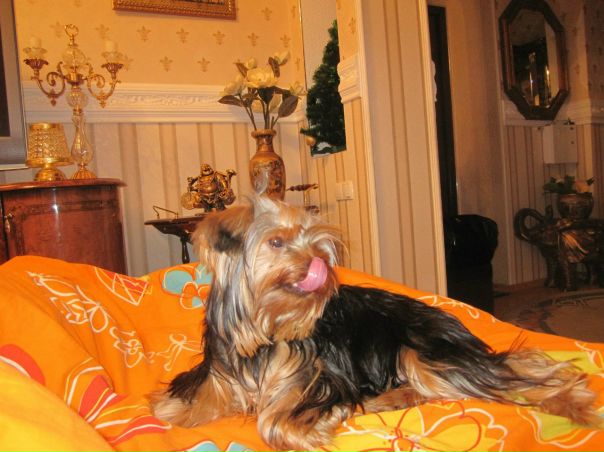 №54, Амелька Карамелька, 33 года, Кривой Рог №54, Амелька Карамелька, 33 года, Кривой Рог