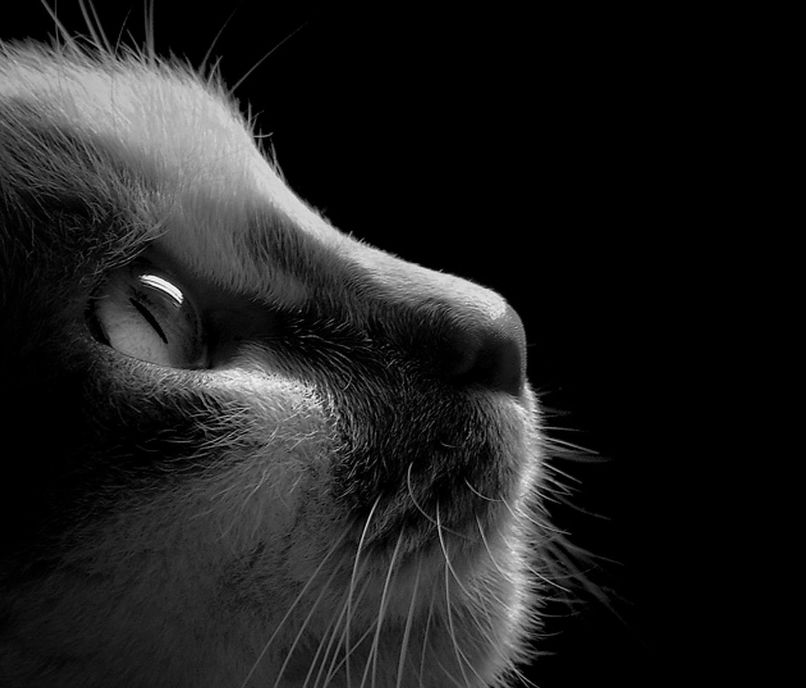 Аня Коваленко | Винница