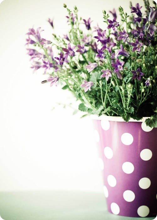 Аля Севрюгина | Минск