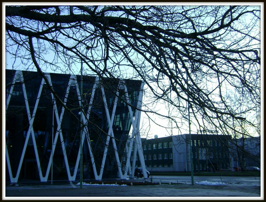 Ksenya Veter | Москва