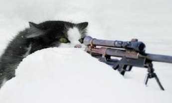 Владислав Головизнин | 