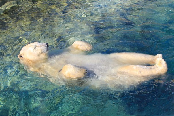 Владислав П | 