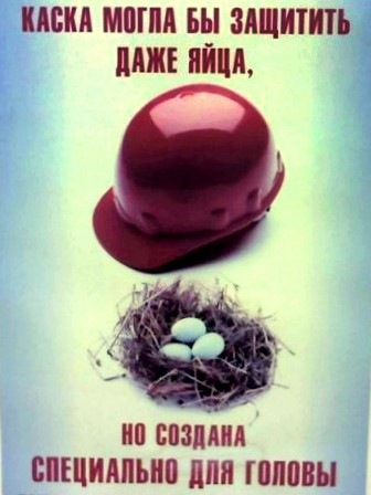 №113, Алексей Панюшкин, Санкт-Петербург №113, Алексей Панюшкин, Санкт-Петербург