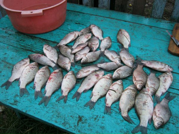 №111, Александр Шарлан, 32 года, Ивье №111, Александр Шарлан, 32 года, Ивье