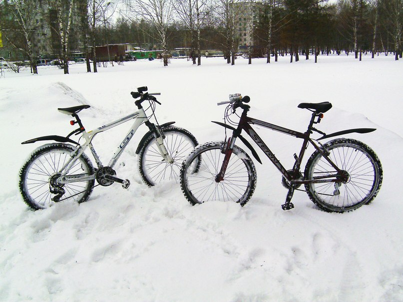 Дмитрий Гриценко | Новосибирск