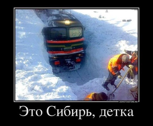 Артем Дроздов | Красноярск