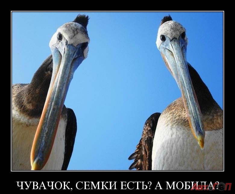 Илья Рубан | Рубежное