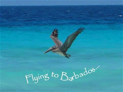 Ольга Уразаева | Alnwick