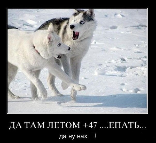 Семен Овчинников Dj Saiman_Baur | Асбест