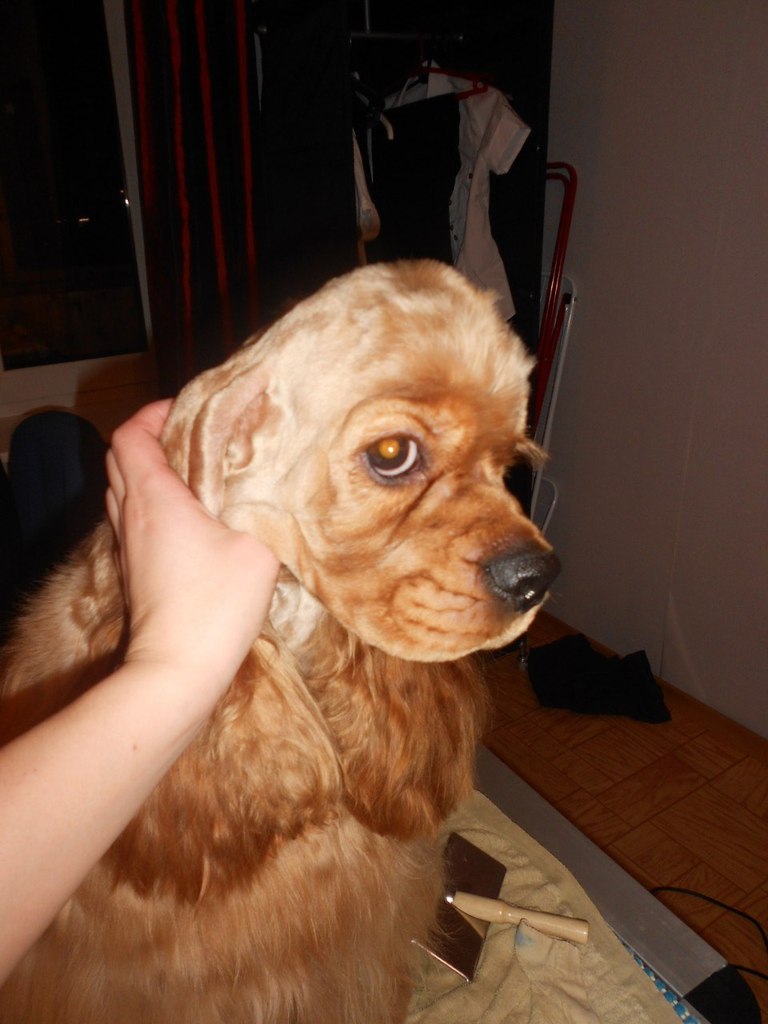 Татьяна Бушуева | Санкт-Петербург