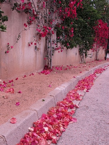 №91, Svetylja Lapylja, Киев №91, Svetylja Lapylja, Киев