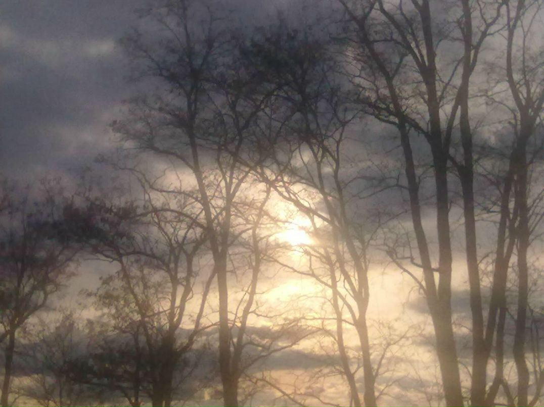 Дмитрий Дворницкий | Кропивницкий / Кировоград