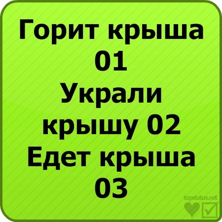 №88, Анюта Мачнева №88, Анюта Мачнева