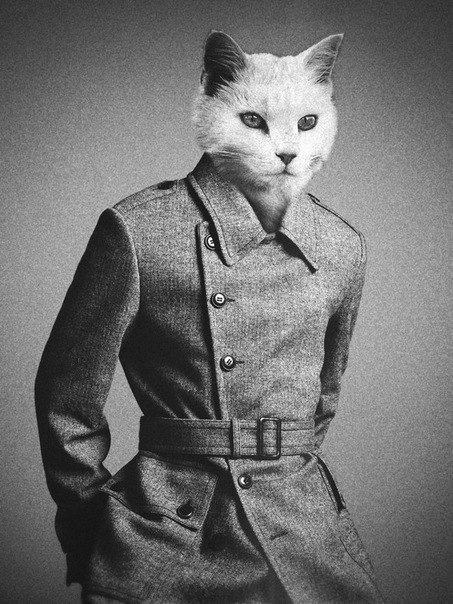 Богдан Батуричев Завадной Апельсин | Харьков