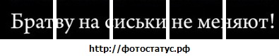 №17, Александр Довгань №17, Александр Довгань