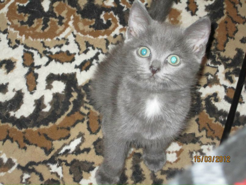 Олеся Менщикова | Санкт-Петербург