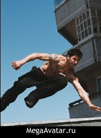 №16, Дмитрий Зобов №16, Дмитрий Зобов