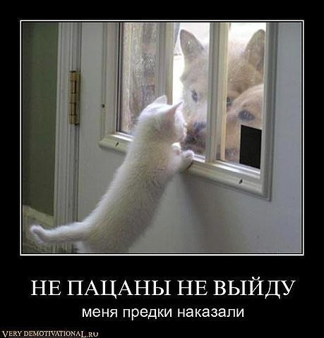 Евгений Лаппо (paukan) | Гатчина