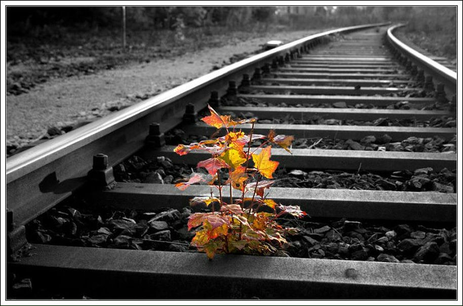 №147, Владимир Серый, 46 лет №147, Владимир Серый, 46 лет