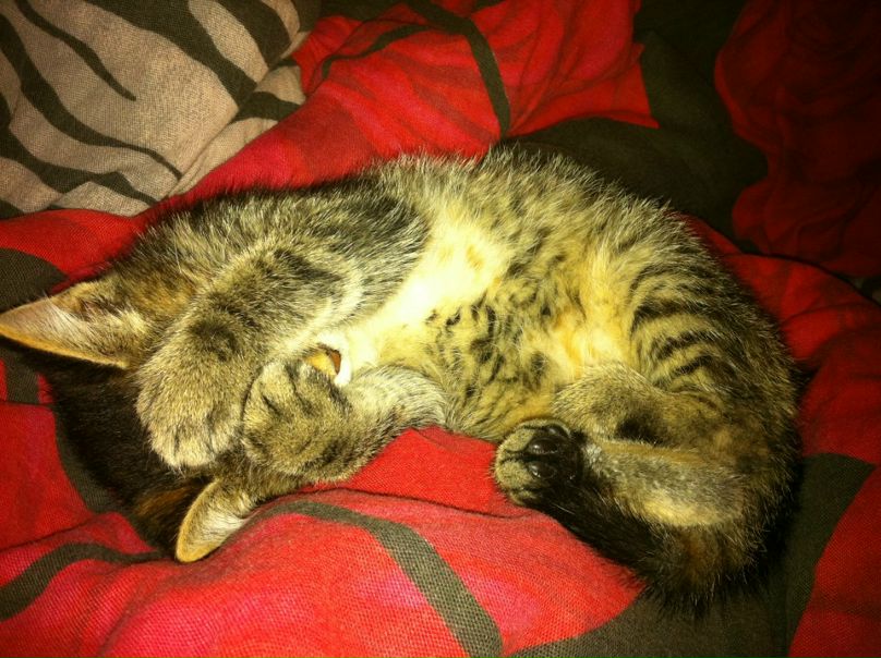 №22, Роман Николаевич, 44 года, Москва, Россия №22, Роман Николаевич, 44 года, Москва, Россия