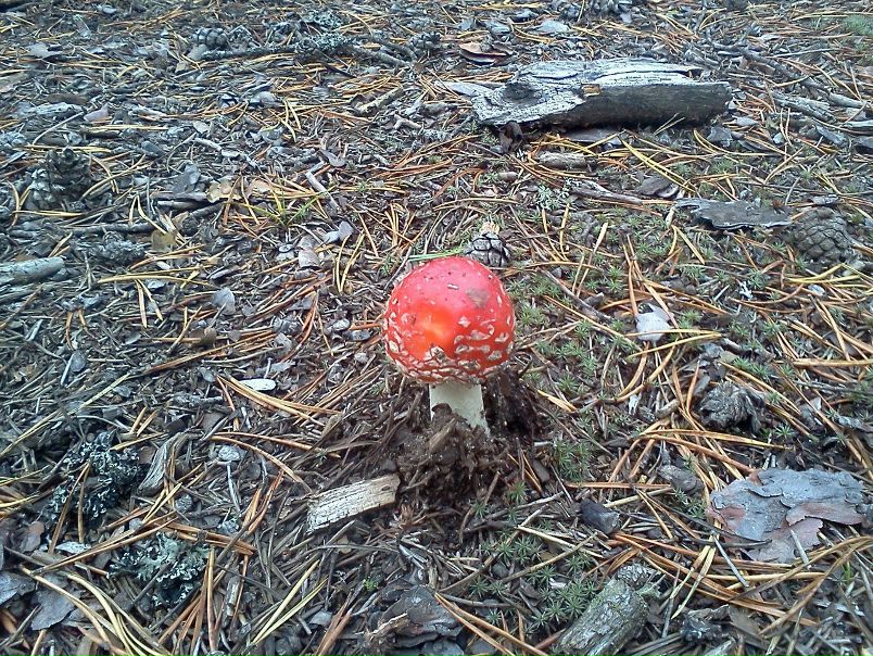 №57, Юрий Кирилкин, 57 лет, Санкт-Петербург №57, Юрий Кирилкин, 57 лет, Санкт-Петербург