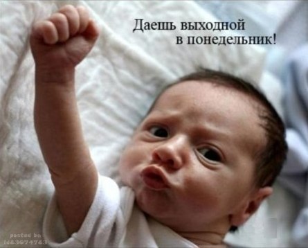 Александр Кононов | Москва