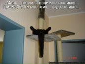 №14 Юлия Смирнова 03.02: профиль, фото, статус - ВКонтакте №14 Юлия Смирнова 03.02: профиль, фото, статус - ВКонтакте