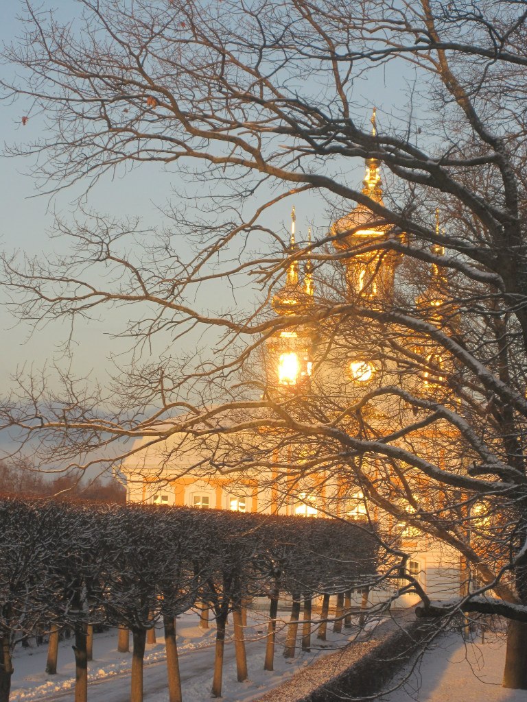 Ирина Лециус | Санкт-Петербург