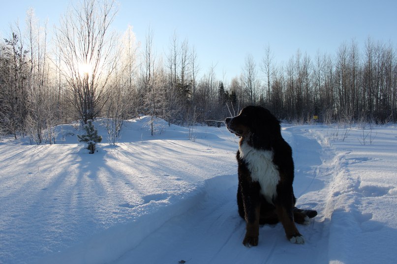 Анечка Казанцева | Сухой Лог