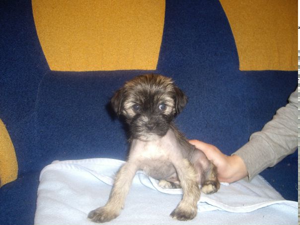 №51, Ольга Осипова, Витебск №51, Ольга Осипова, Витебск