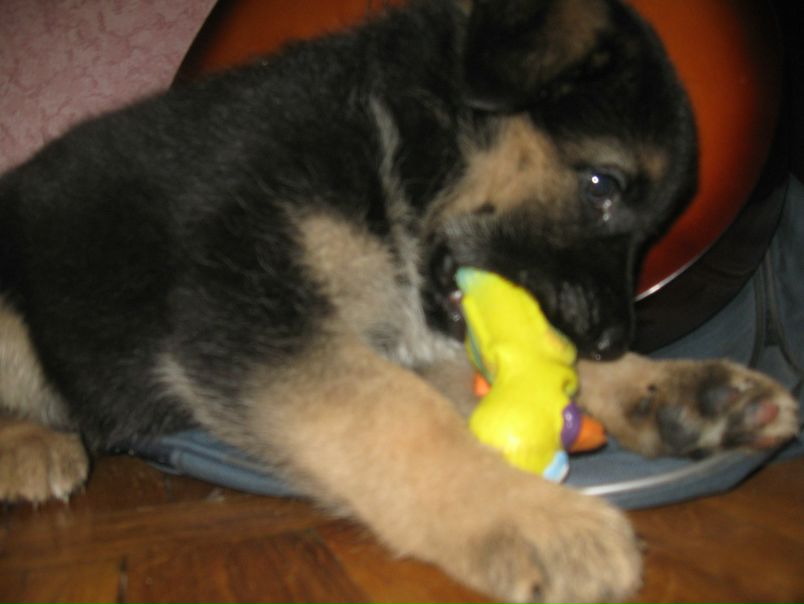 №26, Alina Zelen, Минск №26, Alina Zelen, Минск