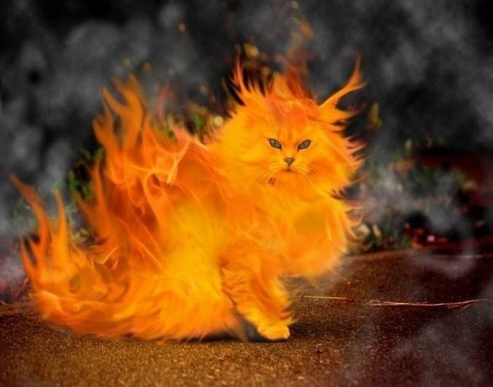 Наталья Гулина | Дрезна