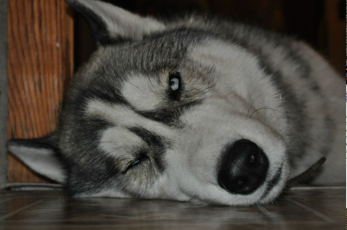 Юлек Леонова | Уфа