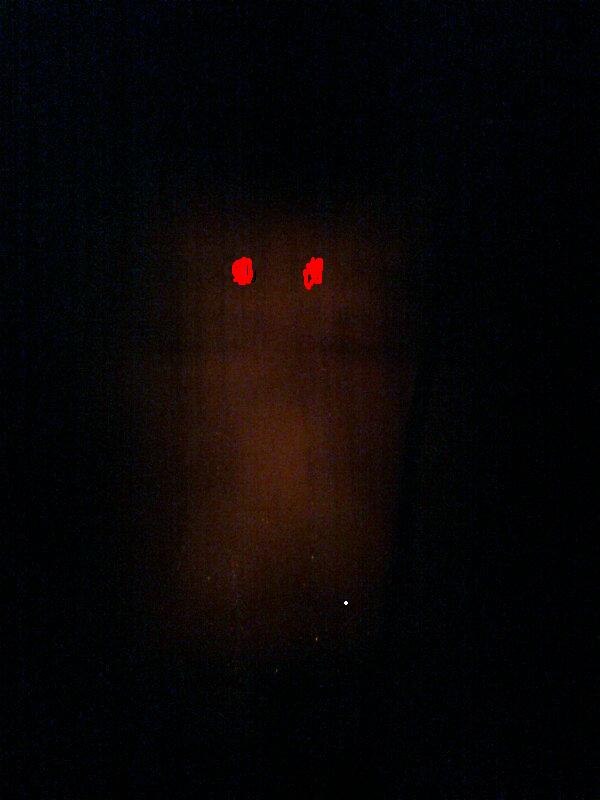 Паша Курочкин | Красноярск