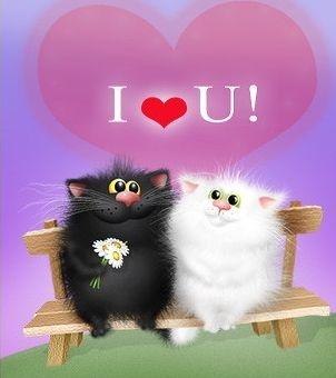 Яна Коваль | Киев