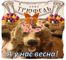 №12 Анастасия Ильина