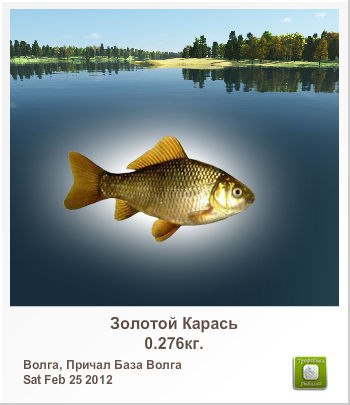 Сергей Сусойкин | Рязань