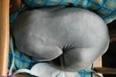 №28 Екатерина Крылова 11.12: профиль, фото, статус - ВКонтакте